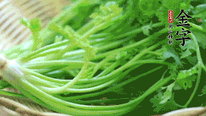 挑選鮮嫩的香菜，洗干凈后，處理成小段。